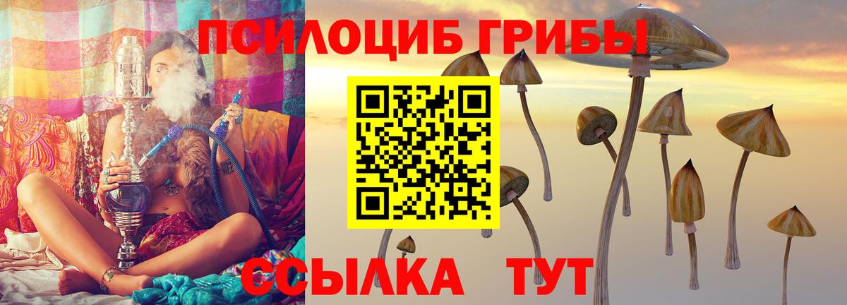 Лосино-Петровский  Псилоцибиновые грибы Magic Shrooms  Галлюциногенные грибы Magic Shrooms  Вход с VPN 